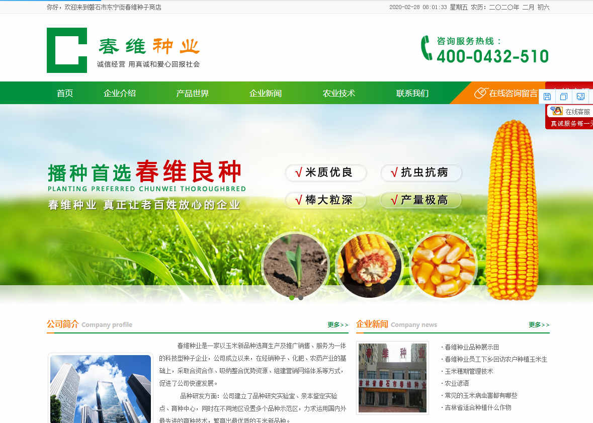 网站建设做好网站推广SEO优化的几个技巧